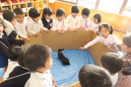 うさぎと遊ぼう！