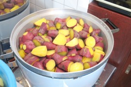 おいもを食べよう