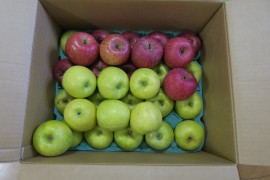 りんごをありがとうございます