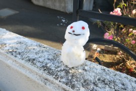 雪だ！