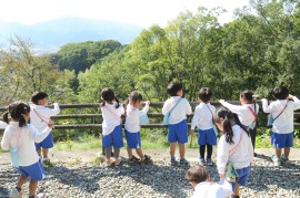 秋を探してお散歩～赤組・わかば組～