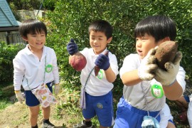 芋掘り～青組～