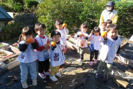 みかんの収穫～わかば組～