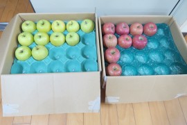 りんごをもらったよ！