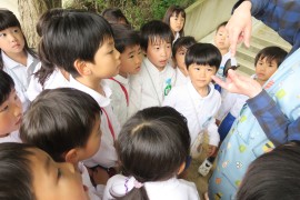 今週のいろいろ