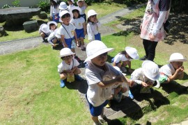 いろいろ探検隊～黄組～