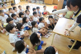 パプリカの収穫～黄組～