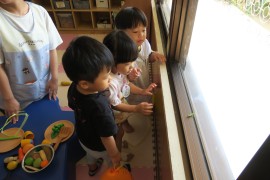 バッタだ！～わかば組～